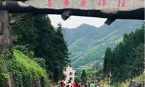 丽水松阳箬寮原始林区旅游攻略_丽水松阳箬寮原始林景区_1