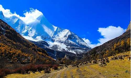 成都稻城亚丁旅游攻略及费用_成都到稻城亚丁怎么去最方便