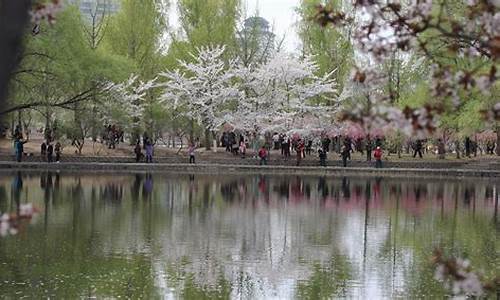 三月份北京旅游攻略_三月份北京旅游攻略必去景点有哪些_1