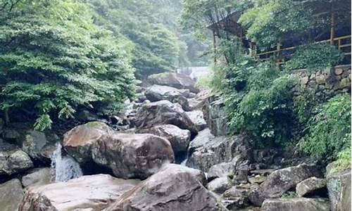 天目山旅游攻略需要坐景交车吗最新消息_天目山需要门票吗