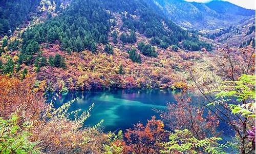 九寨沟县城至九寨沟景区汽车_九寨沟县城到九寨沟景区汽车