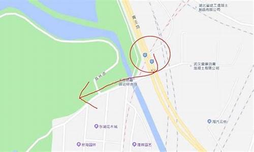 武汉森林公园公交_武汉森林公园公交车路线