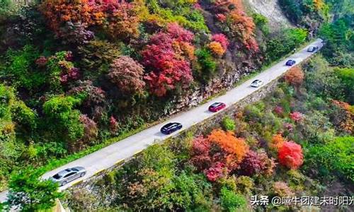 翠华山旅游攻略一日游_翠华山旅游攻略一日游图片