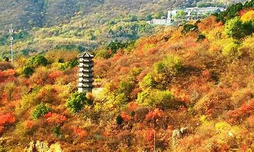 北京西山森林公园门票_北京西山森林公园门票多少钱