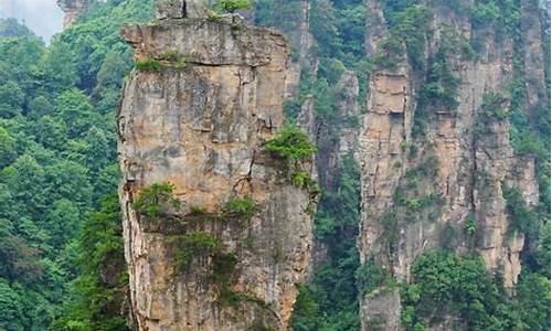 张家界旅游攻略带孩子自由行推荐路线_张家界旅游攻略带孩子自由行推荐