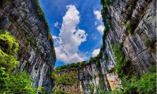 重庆武隆仙女山一日游攻略_重庆武隆仙女山旅游攻略自驾