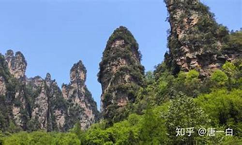 去张家界跟团还是自己玩好一点_去张家界跟团还是自己玩好