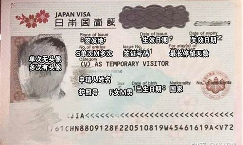 日本个人旅游签证多少钱_日本自由行签证费用多少最新