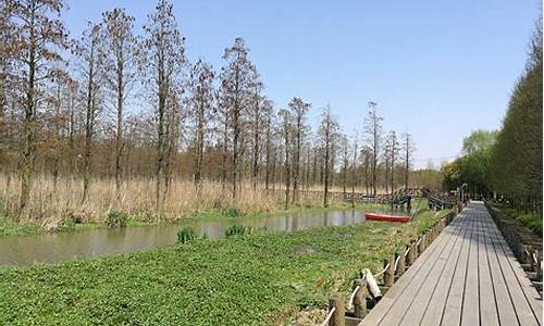 青西郊野公园_青西郊野公园游玩攻略