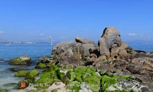 葫芦岛菊花岛旅游攻略_葫芦岛菊花岛门票多少钱