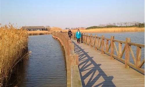 上海东滩湿地公园攻略_东滩湿地公园怎么样