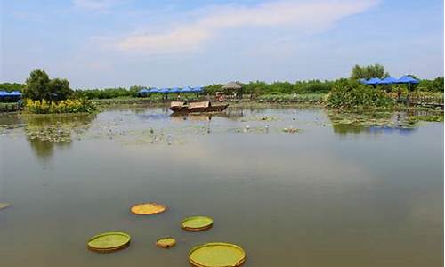 南沙湿地公园好玩吗_南沙湿地公园好玩吗?南沙湿地公园怎么去