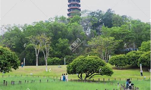 深圳红花山公园停车场收费吗_深圳红花山公园停车场收费吗多少钱