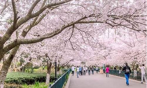 青岛中山公园坐地铁几号线到达_青岛中山公园坐地铁几号线到达机场