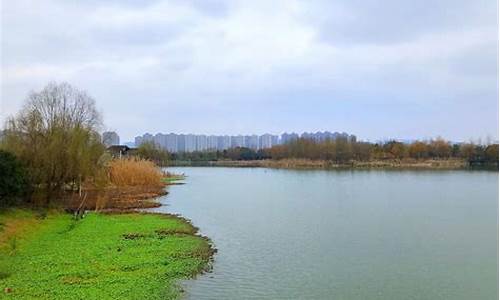 长沙洋湖湿地公园地址_长沙洋湖湿地公园地址在哪里