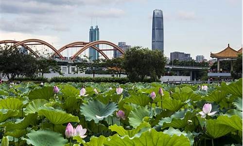 洪湖公园 地铁_洪湖公园地铁站出口